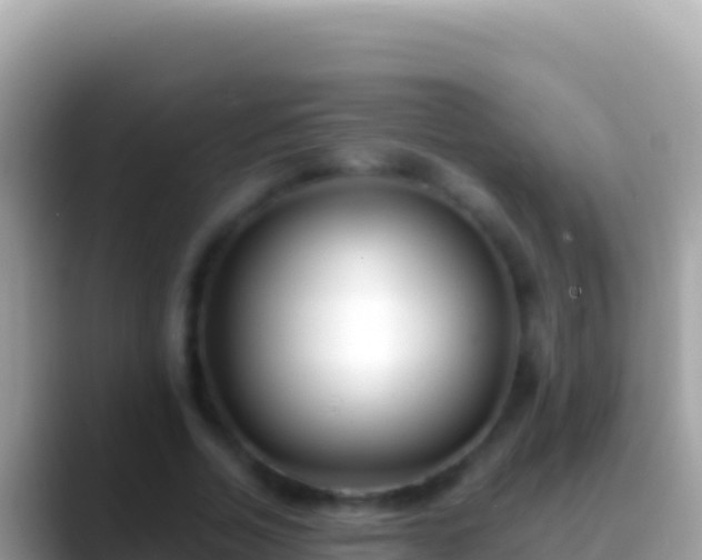 X0000088660730200706011239