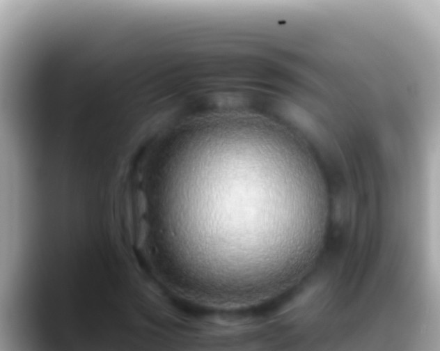 X0000088660733200706011239