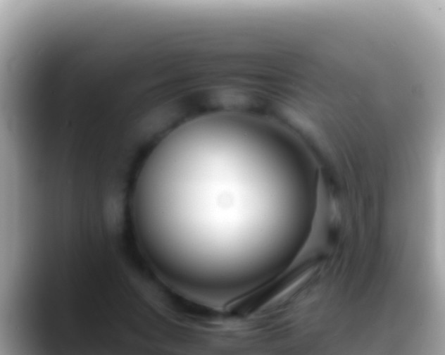 X0000088660735200706011239