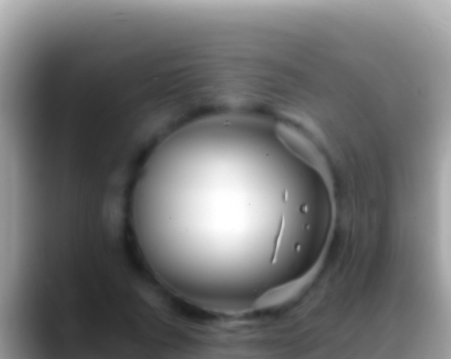 X0000088660736200706011239