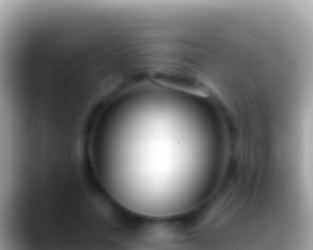 X0000088660738200706011239