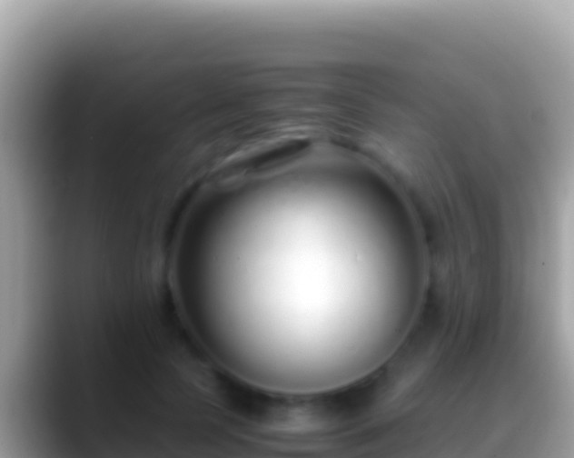 X0000088660745200706011239