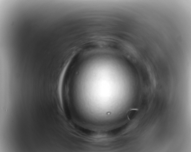 X0000088660749200706011239