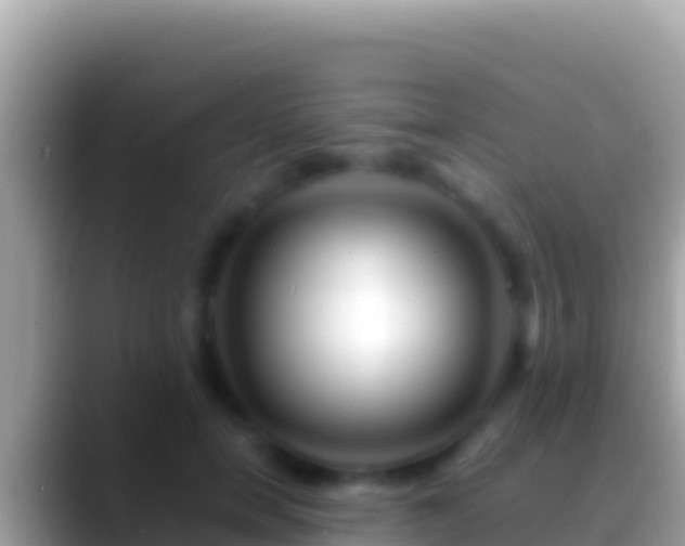 X0000088660750200706011239