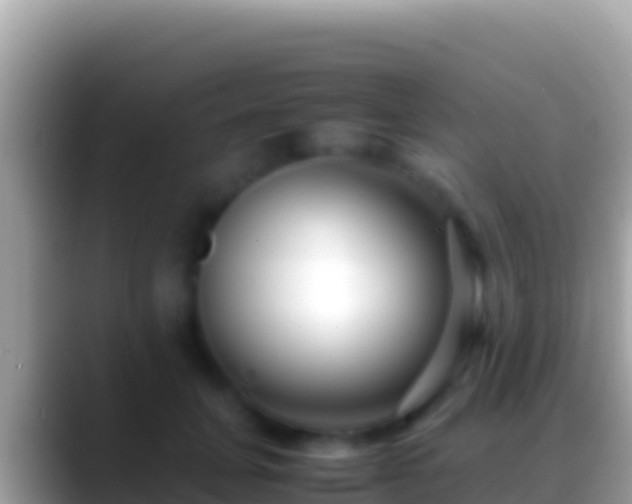 X0000088660751200706011239