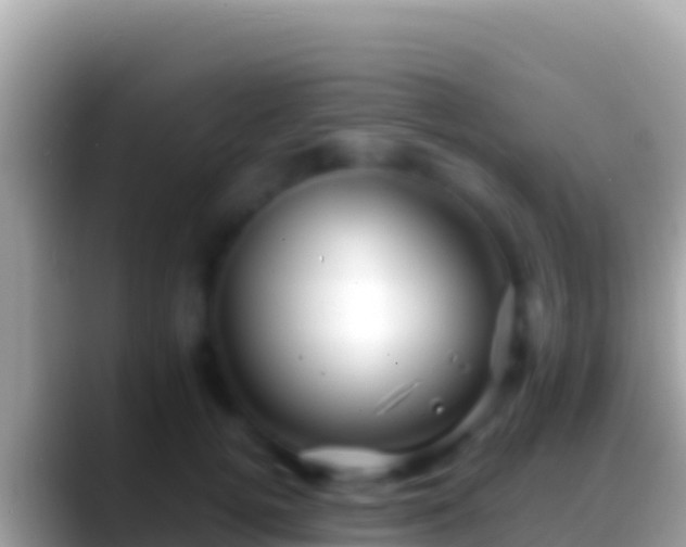 X0000088660752200706011239