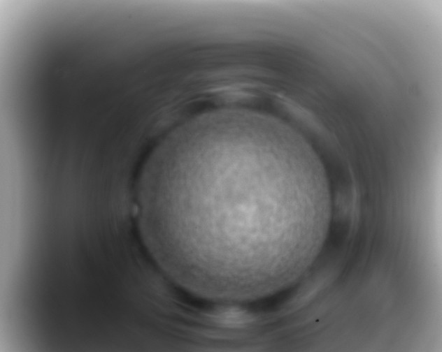 X0000088660753200706011239