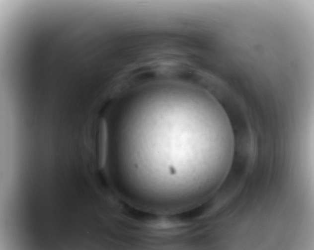 X0000088660755200706011239