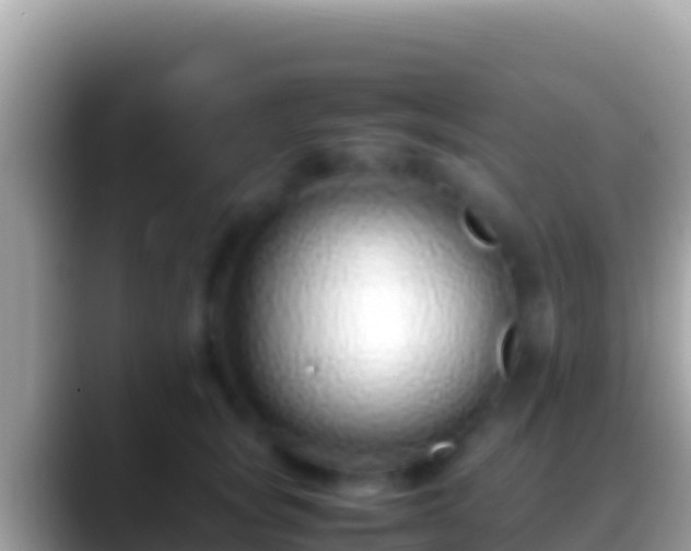 X0000088660757200706011239