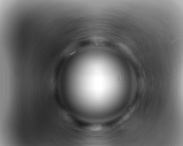 X0000088660762200706011240