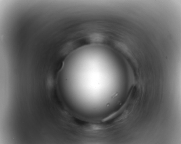 X0000088660763200706011240