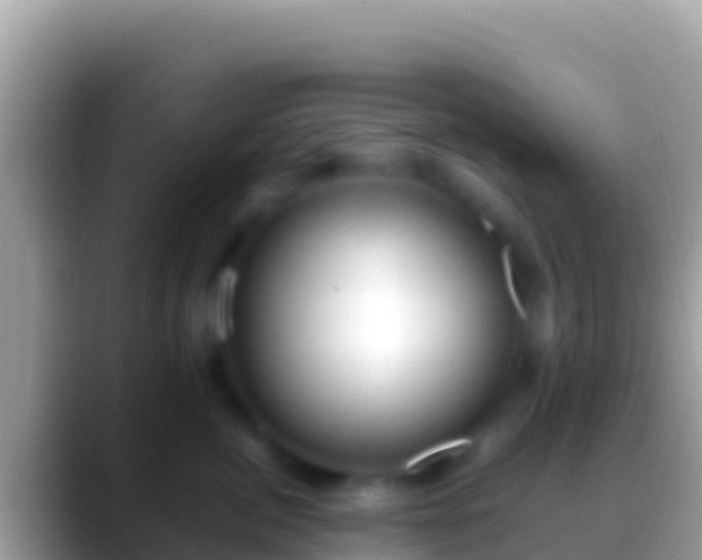 X0000088660764200706011240