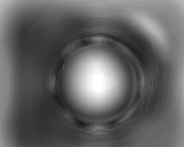 X0000088660765200706011240