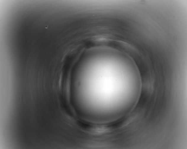 X0000088660767200706011240