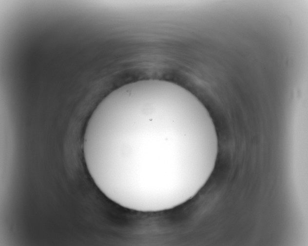 X0000088660769200706011239