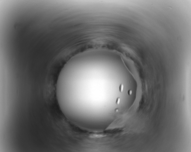 X0000088660773200706011239