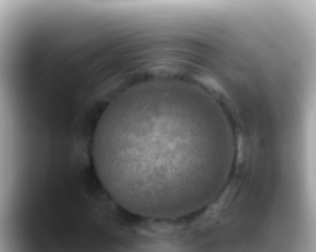 X0000088660774200706011239