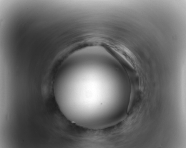 X0000088660775200706011239