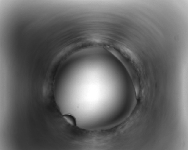 X0000088660776200706011239