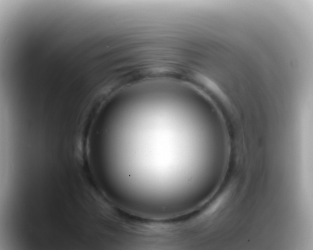 X0000088660777200706011239