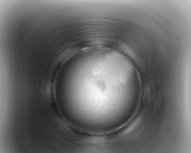 X0000088660778200706011239