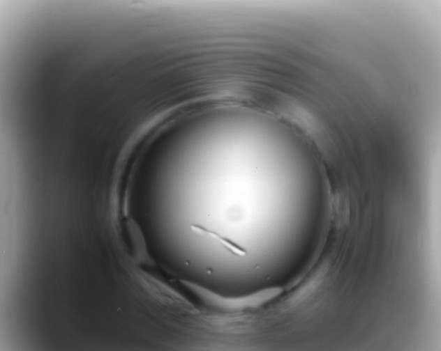 X0000088660780200706011239