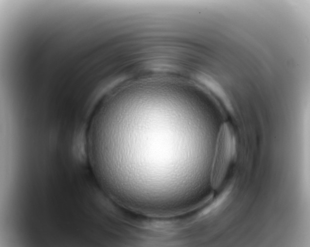 X0000088660782200706011239