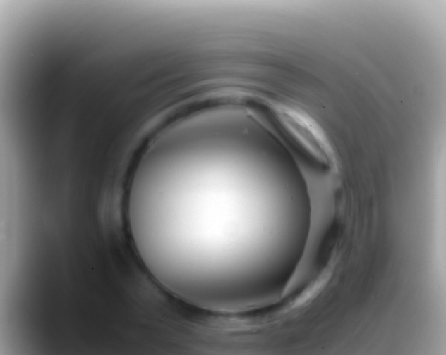 X0000088660783200706011239