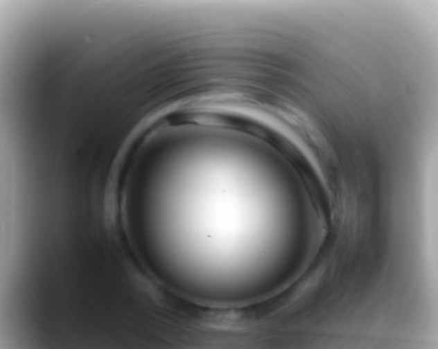 X0000088660784200706011239