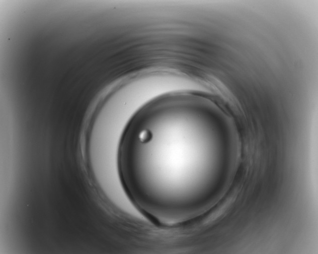 X0000088660788200706011239