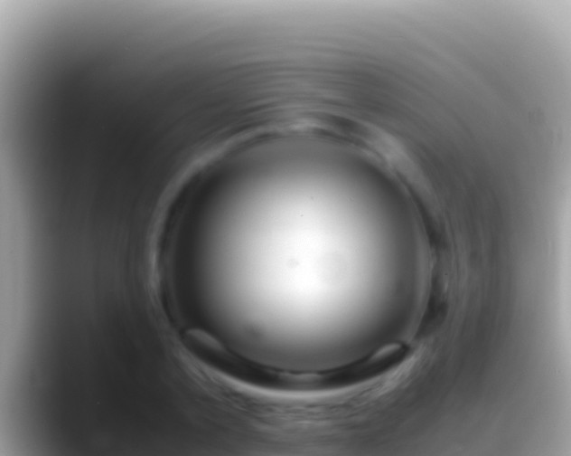 X0000088660789200706011239