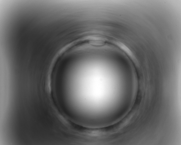 X0000088660791200706011239