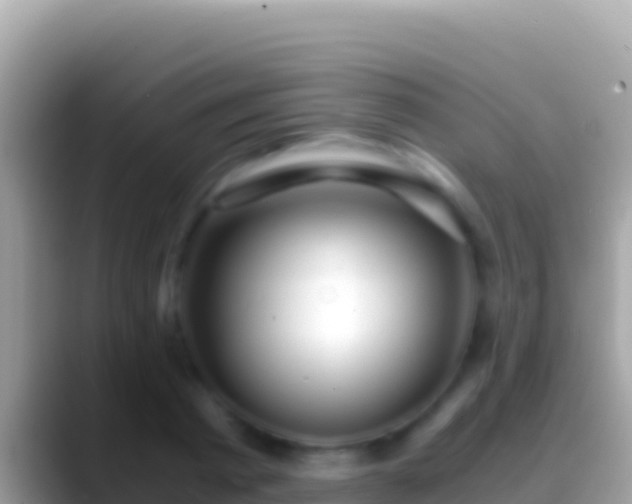 X0000088660793200706011239