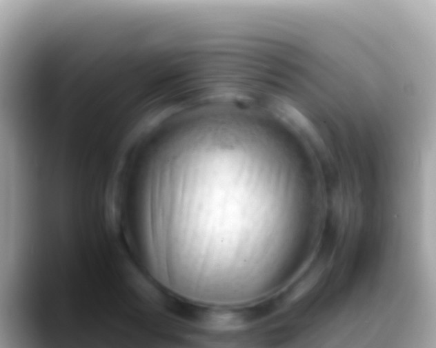 X0000088660794200706011239