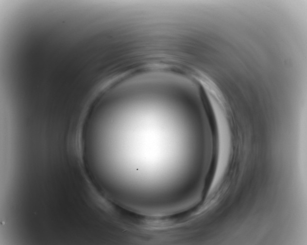 X0000088660795200706011239