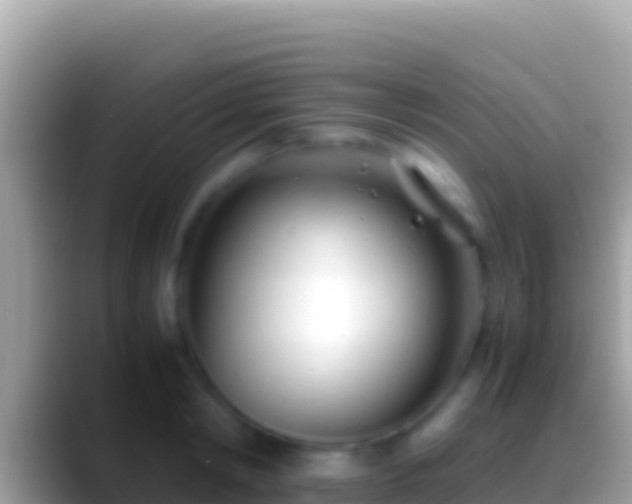 X0000088660798200706011239