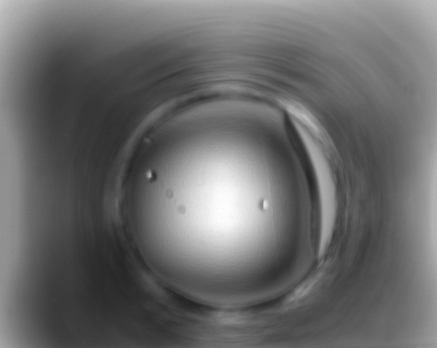 X0000088660799200706011239