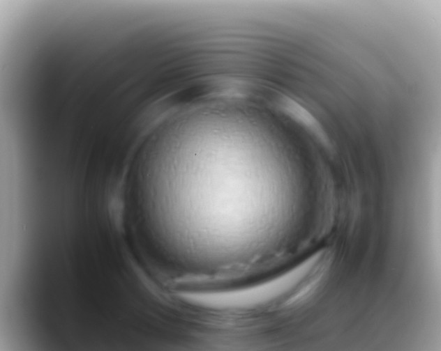 X0000088660802200706011239