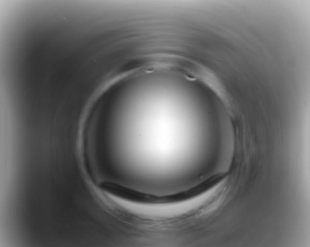 X0000088660803200706011239