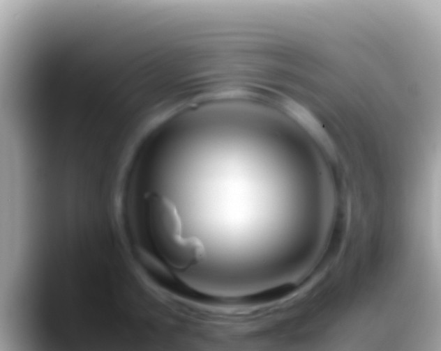 X0000088660805200706011239