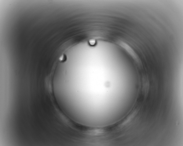 X0000088660810200706011239