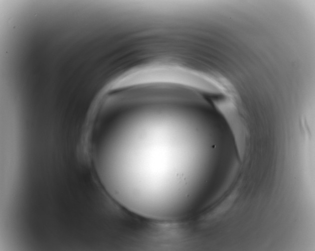 X0000088660816200706011238