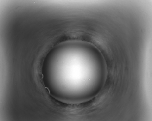 X0000088660817200706011238