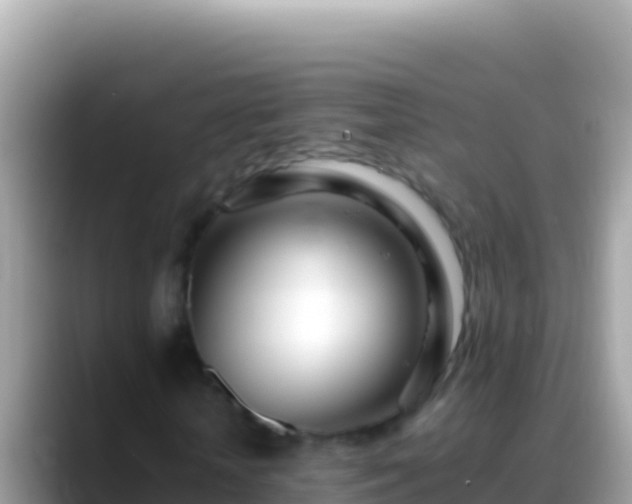 X0000088660818200706011238