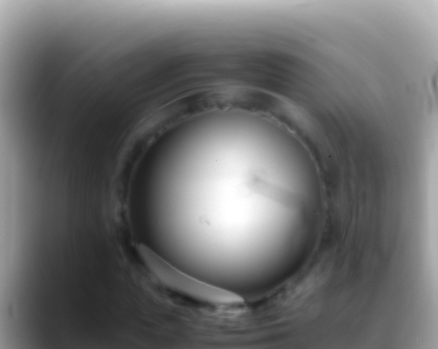 X0000088660823200706011238