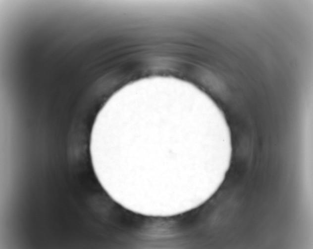 X0000088660824200706011238