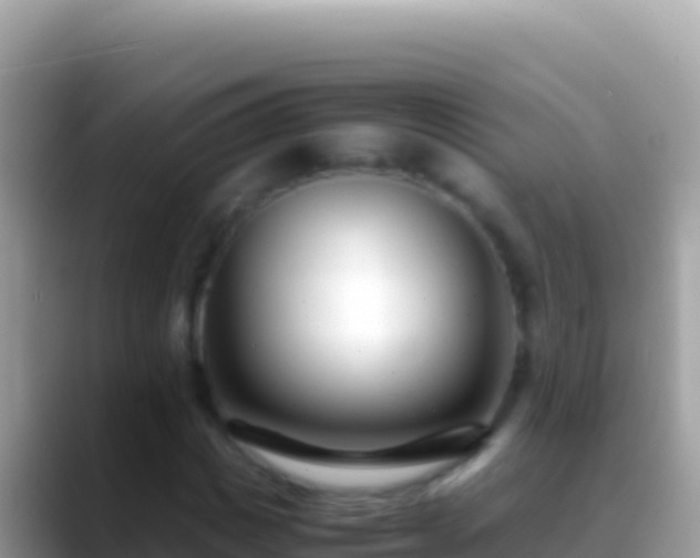 X0000088660825200706011238