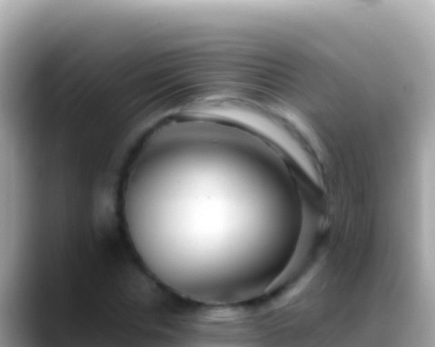 X0000088660826200706011238