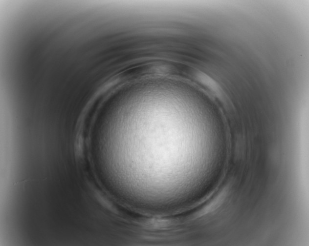 X0000088660827200706011238