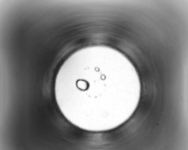 X0000088660828200706011238